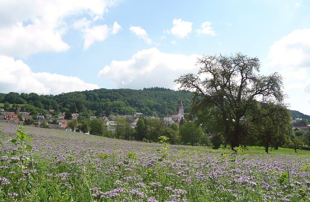 Gailingen mit Kirche Gailingen mit Kirche